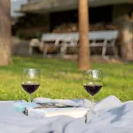 Bolla Nyaralohaz Tatil Evi