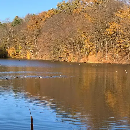 Bolla Nyaralohaz * Hegyhatszentjakab