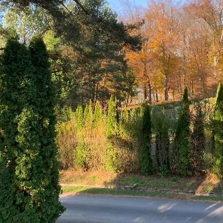 Дом отдыха Bolla Nyaralohaz *