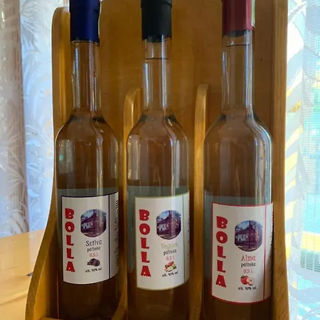 Дом отдыха Bolla Nyaralohaz *