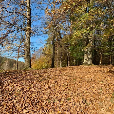 Bolla Nyaralohaz Дом отдыха