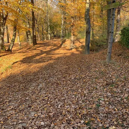 Bolla Nyaralohaz Дом отдыха *