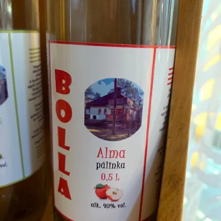 Дом отдыха Bolla Nyaralohaz *