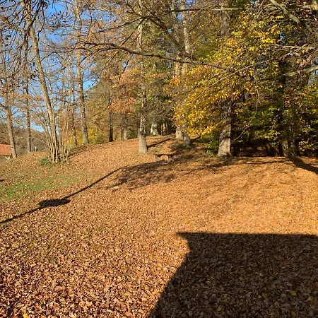 Bolla Nyaralohaz Дом отдыха