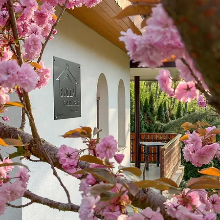Tatil Evi Bolla Nyaralohaz Hegyhátszentjakab